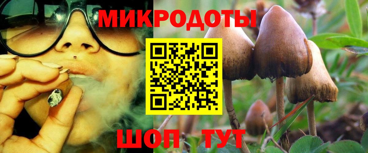 Нижнеудинск  купить наркотики цена  Вход с VPN  Галлюциногенные грибы Magic Shrooms 